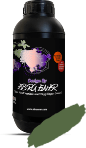 ANKA VERNİKLİ GENEL YÜZEY BOYASI YAĞ YEŞİL 1 KG